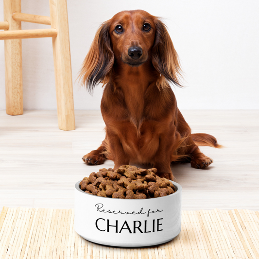 Personalised Dog Food Bowl